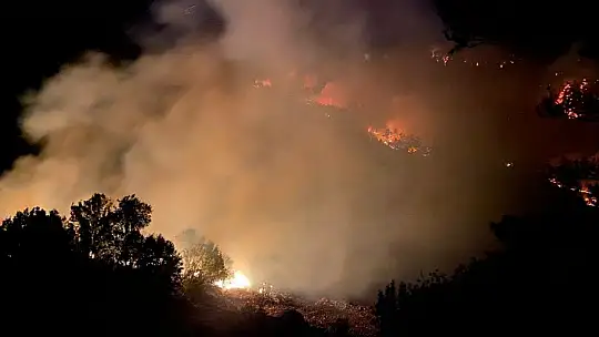 Muğla Seydikemer'de halk yangınlara karşı seferber oldu