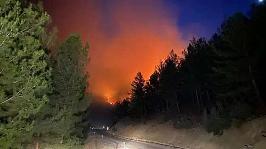 Muğla Seydikemer'de halk yangınlara karşı seferber oldu