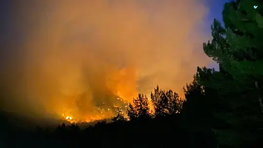 Muğla Seydikemer'de halk yangınlara karşı seferber oldu