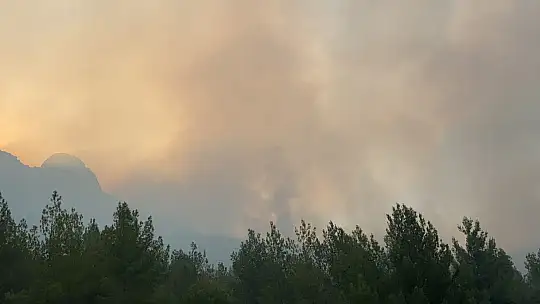 Muğla Seydikemer'de halk yangınlara karşı seferber oldu