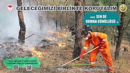 Muğla ve Aydın'da 2 Bin orman gönüllüsüne eğitim verildi