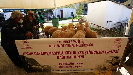 Muğla'ya ETAP Projesi kapsamında 20 milyonluk destek devam ediyor