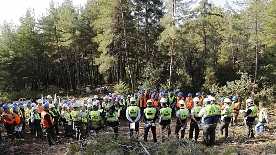 MUĞLA, YILANLI VE MARMARİS'TE SİLVİKÜLTÜR TATBİKATI YAPILDI