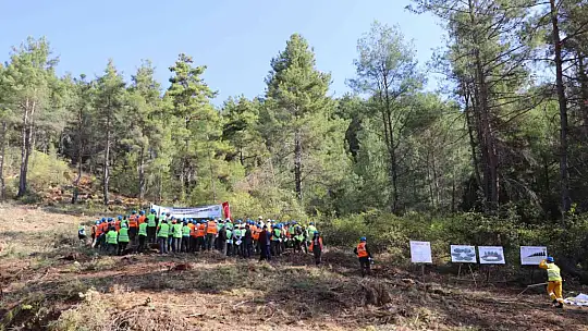 MUĞLA, YILANLI VE MARMARİS'TE SİLVİKÜLTÜR TATBİKATI YAPILDI