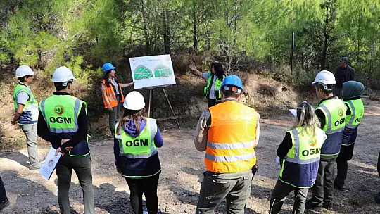 MUĞLA, YILANLI VE MARMARİS'TE SİLVİKÜLTÜR TATBİKATI YAPILDI