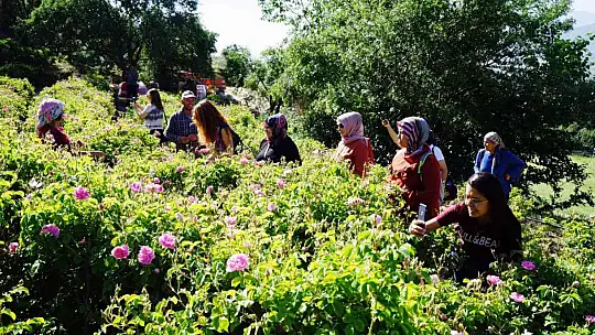 Muğlalı kadın üreticilere teknik gezi