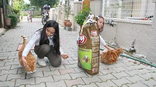 Muhtar sokak hayvanlarını kendi imkanları ile besliyor