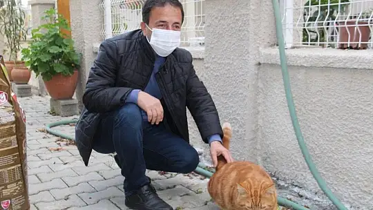 Muhtar sokak hayvanlarını kendi imkanları ile besliyor