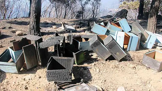 Odada her şey yandı, 'Besmele' yazısı yanmadı