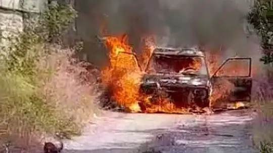 Kulaç, 'Sigorta çok geniş bir yelpazeyi kapsıyor'