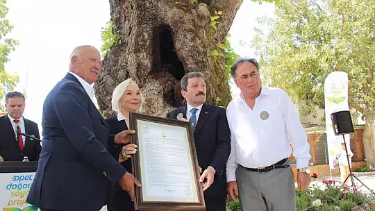Opet, orman yangınlarından zarar gören köyleri yeniden inşa ediyor