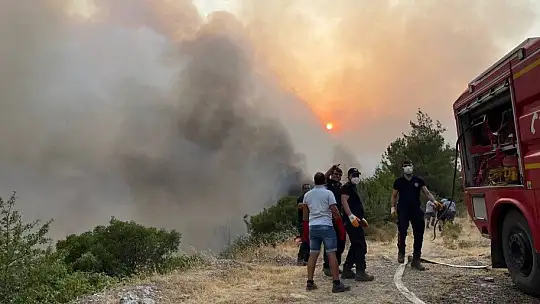 Ören'i aşan alevler Yeniköy Termik Santrali'ne doğru ilerliyor