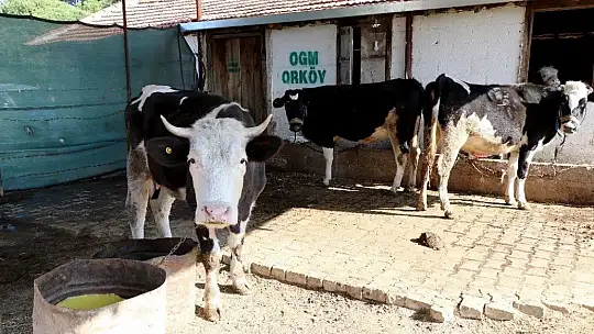 ORKÖY'den Aydın ve Muğla köylüsüne 4,5 milyon TL destek