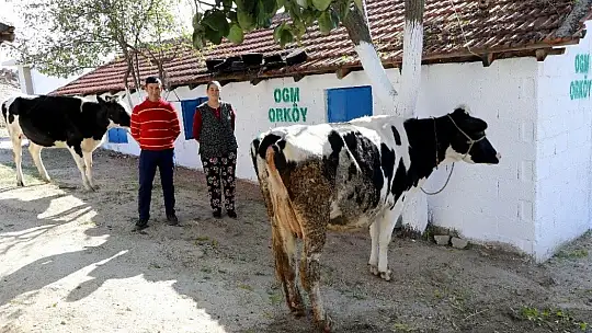 ORKÖY'den Aydın ve Muğla köylüsüne 4,5 milyon TL destek