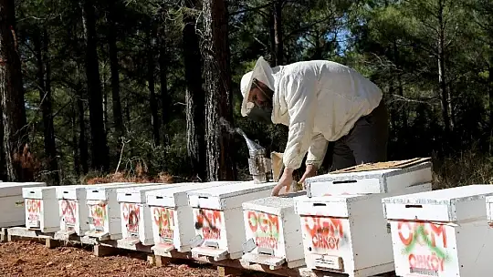 ORKÖY'den Aydın ve Muğla köylüsüne 4,5 milyon TL destek