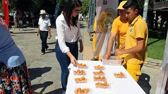 Orman şehitleri için lokma hayrı