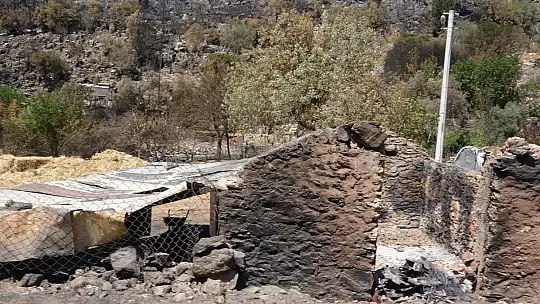 Orman yangınından etkilenen köylerde yaralar sarılıyor