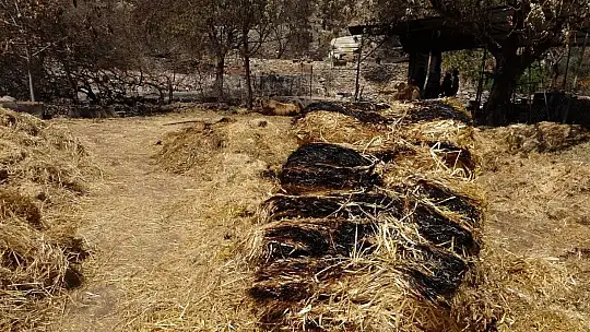 Orman yangınından etkilenen köylerde yaralar sarılıyor