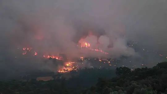 Orman yangınlarına karşı mücadele seferberliği