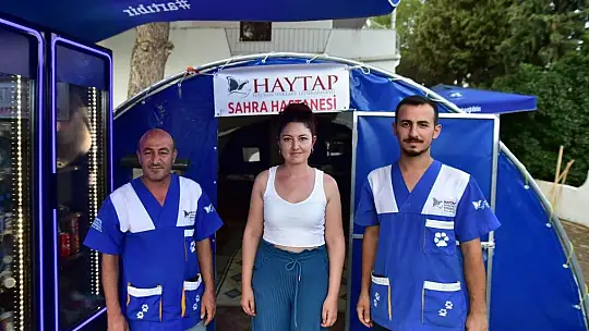 Orman yangınlarında zarar gören hayvanların yaraları sarılıyor