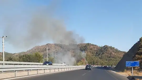 Ortaca'da ormanlık alanda çıkan yangın kontrol altına alındı