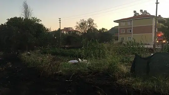 Otluk alanda çıkan yangın korkuttu