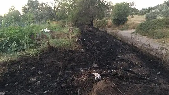 Otluk alanda çıkan yangın korkuttu