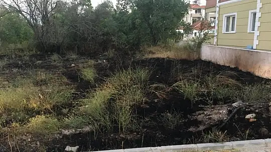Otluk alanda çıkan yangın korkuttu