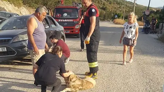 Otomobilin altına sıkışan köpeği itfaiye kurtardı