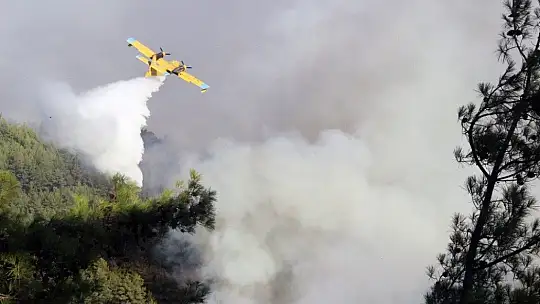 Pandemi döneminde 813 hektar alan yandı