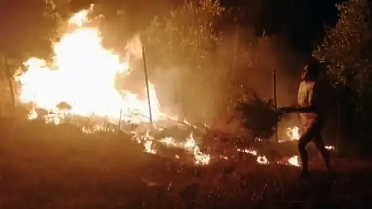 Pandemi döneminde 813 hektar alan yandı