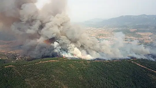 Pandemi döneminde 813 hektar alan yandı