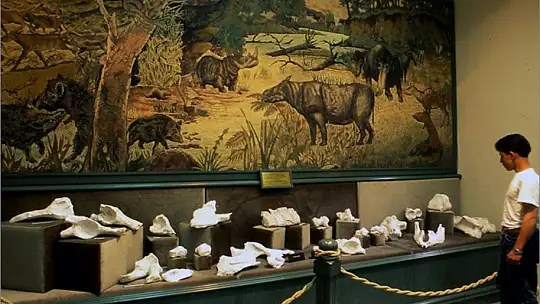 Pandemi ören yeri ve müzeleri de etkiledi