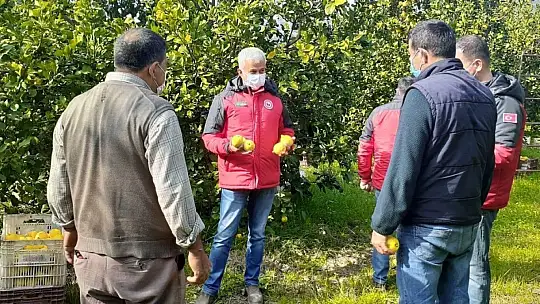 Pandemide tarımsal üretim arttı