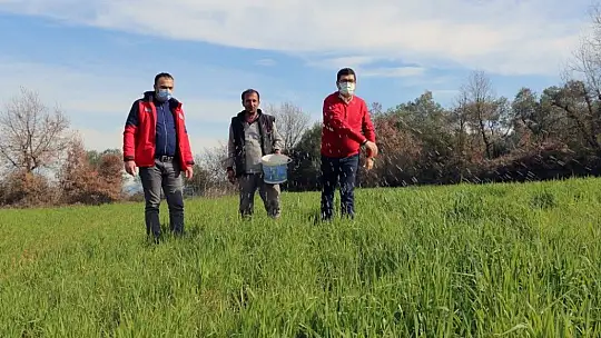 Pandemide tarımsal üretim arttı