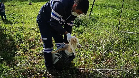 500 günde 5 bin vakaya müdahale edildi