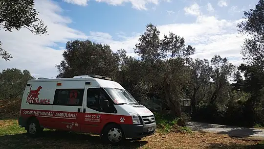 500 günde 5 bin vakaya müdahale edildi