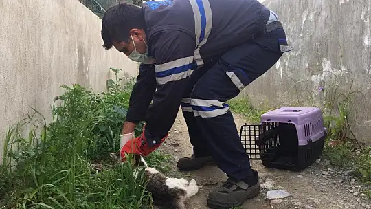 500 günde 5 bin vakaya müdahale edildi