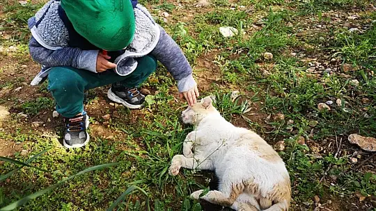 500 günde 5 bin vakaya müdahale edildi