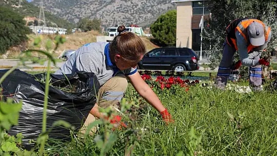 Peyzajda su tasarrufu hedefleniyor