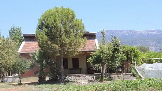 Pınar Gültekin cinayetinde yeni iddianame