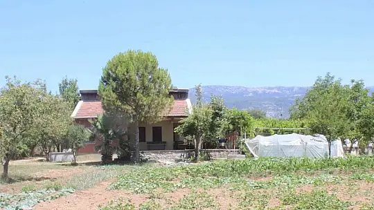 Pınar Gültekin'in katil zanlısına 23 yıl hapis