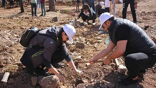 Polisler aileleri ile yanan alanlara fidan diktiler