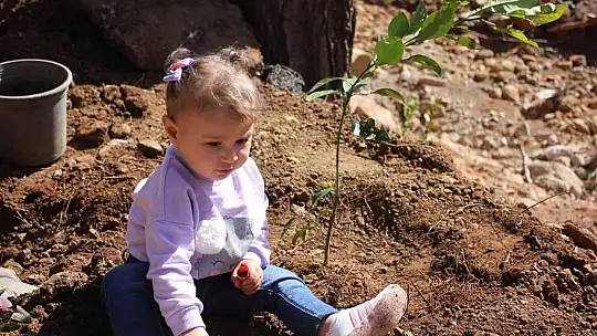 Polisler aileleri ile yanan alanlara fidan diktiler