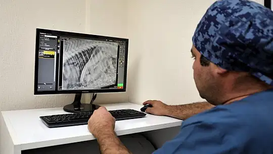 Rögara düşen Kadife için seferber oldular