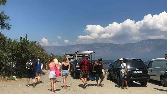 Safari turları ne kadar güvenli, şoförler konuştu