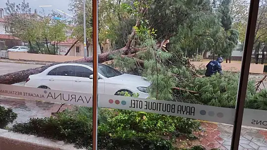 SAĞANAK YAĞIŞ SONRASI YOLLAR ÇAMURLA KAPLANDI