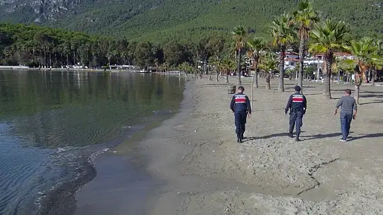 Sakin kent kedi ve köpeklere kaldı