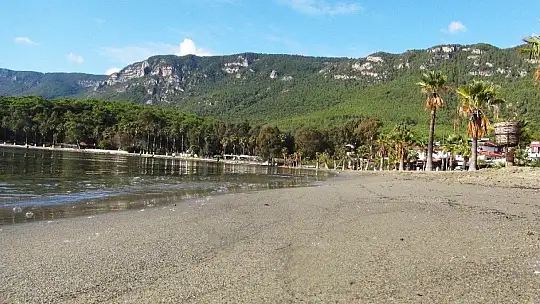 Sakin kent kedi ve köpeklere kaldı