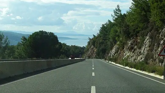 Sakin kent kedi ve köpeklere kaldı